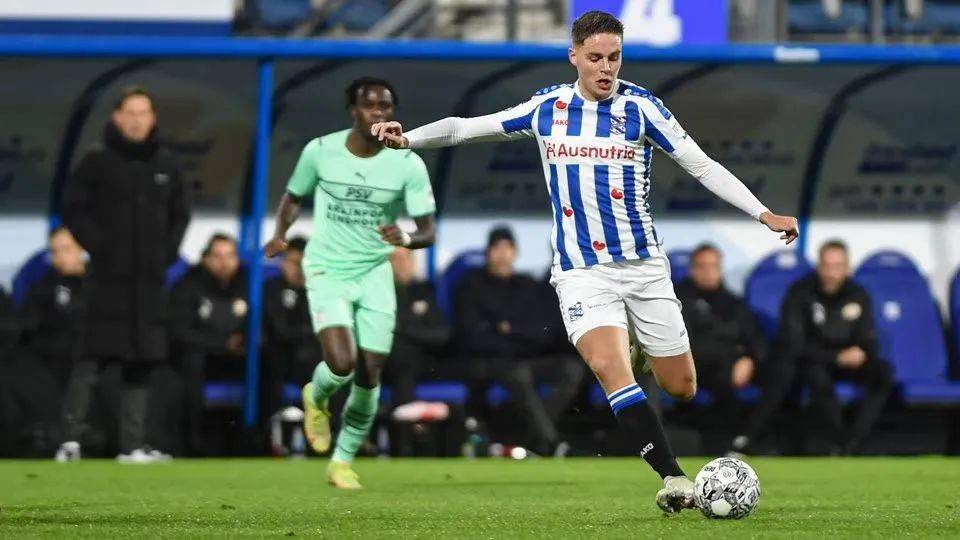 过渡纽带 过渡纽带