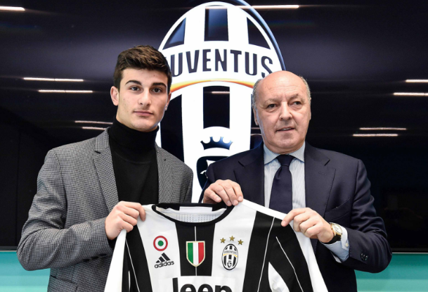 的巨大潜力 的巨大潜力