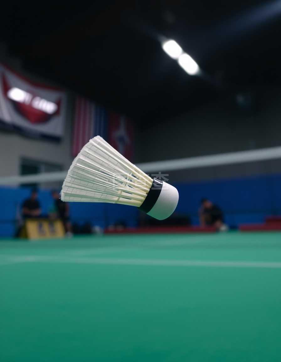 手晋级决赛 手晋级决赛